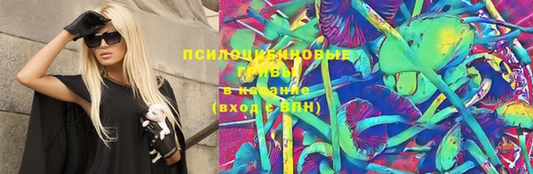 mdpv Кодинск