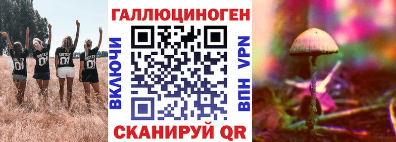 Псилоцибиновые грибы мицелий Купить закладки Закаменск