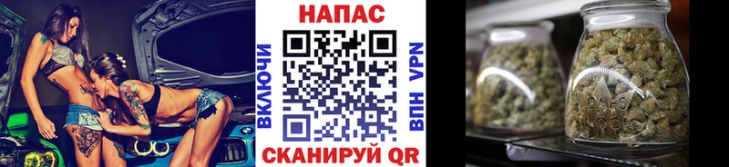 Бошки Шишки OG Kush  Купить закладки  Закаменск 